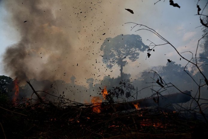 In the Brazilian Amazon, fires and pandemic are a disastrous mix · Global Voices