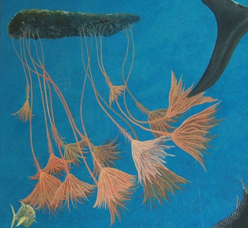 Ancient sea creatures spent years crossing the ocean on rafts – we've worked out how it was possible