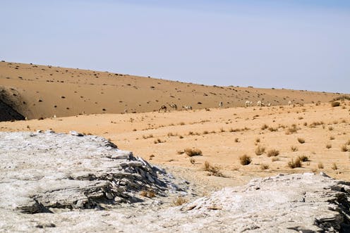 Prehistoric desert footprints are earliest evidence for Homo sapiens on Arabian Peninsula