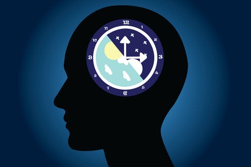 Circadian rhythm: liver gene helps body keep working smoothly after late nights and midnight snacks