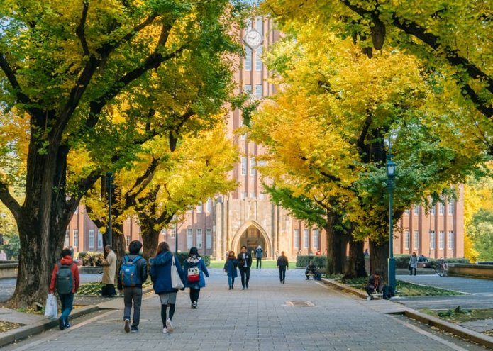 People walking down alleway lined with gingko trees towards university building.