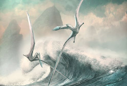 Pterosaurs increased their flight efficiency over time – new evidence for long-term evolution