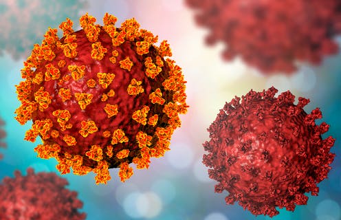 Coronavirus new variant – genomics researcher answers key questions