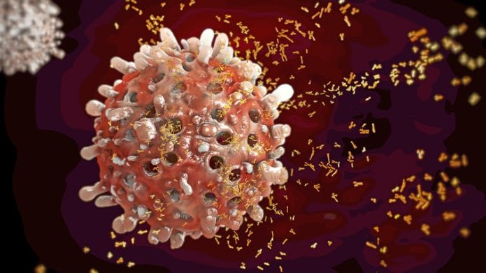 Virus cell in the body being attacked by tiny antibodies.