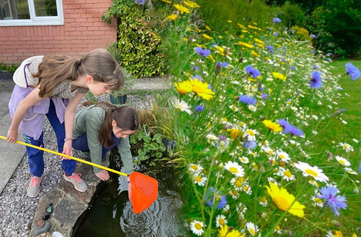 Chudleigh Wild launches Gardening for Wildlife project ← Western