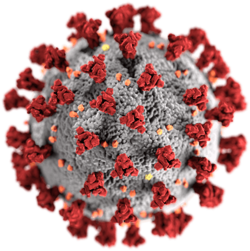 Illustration of the SARS-CoV-2, showing the spike proteins on its surface