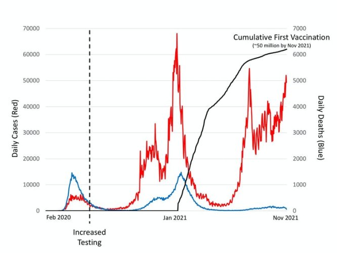 Graph showing that COVID vaccines reduce death rates.