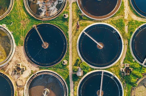 Polio was recently detected in sewage in the UK – here's what else scientists look for in our wastewater