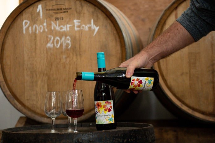 Scrapping EU rules could boost UK wine industry by £180m, says Coffey