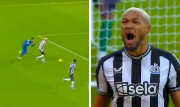 Thiago Silva told 'retire now' as Chelsea star suffers howler against Newcastle