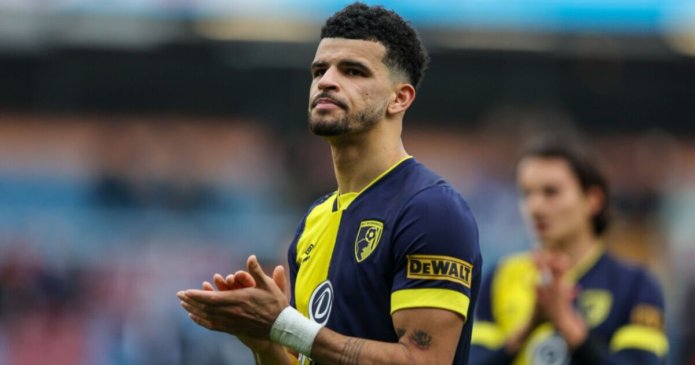 Dominic Solanke injury latest as Bournemouth boss provides worrying update