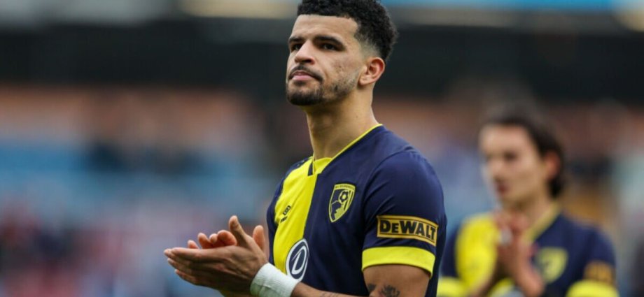 Dominic Solanke injury latest as Bournemouth boss provides worrying update