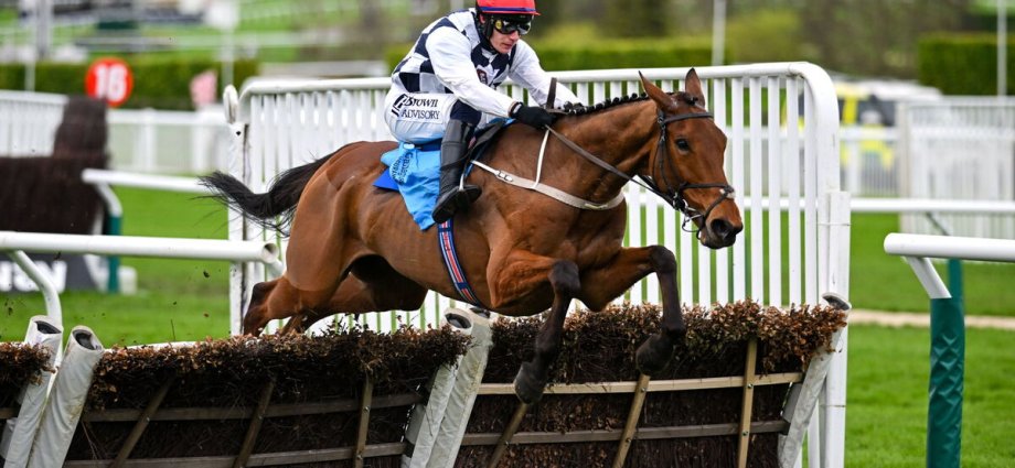 Cheltenham Festival LIVE with results, tips and updates as Ballyburn wins easily