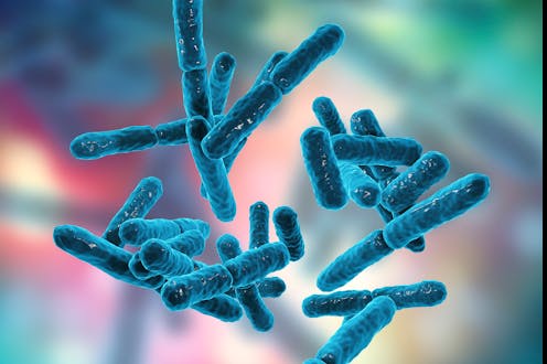 Gut microbiome: meet Bifidobacterium breve, keeping babies healthy