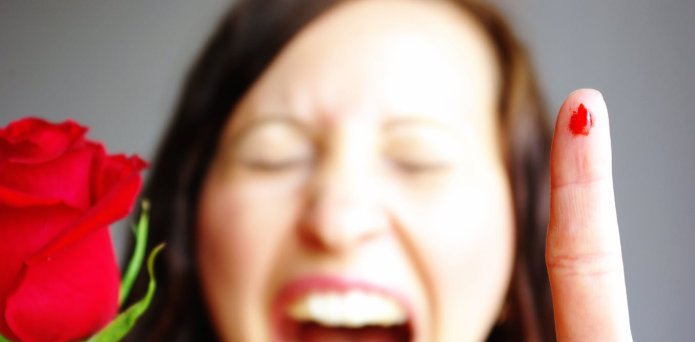 Will we really die from minor scratches in the future? – Q&A with antibiotic resistance expert