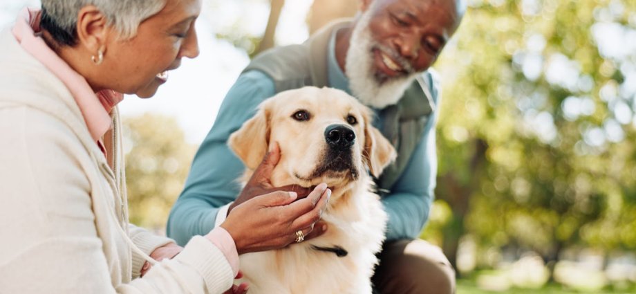 Five ways to get healthier (and happier) with your pet