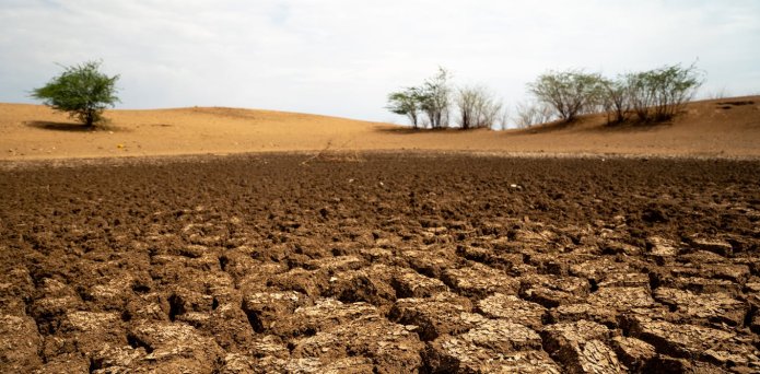 Healthy soils are good for your gut, brain and wellbeing – here’s why