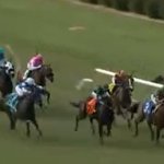 Racing chaos as horse veers off track and breaks through rail in scary scenes