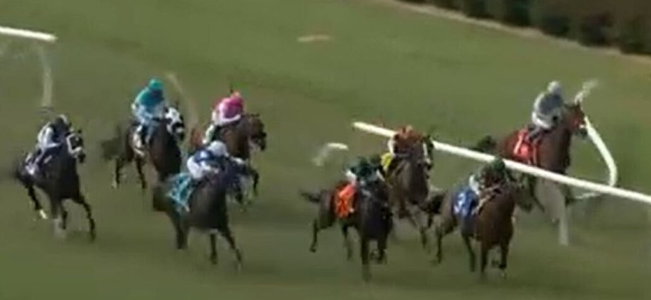 Racing chaos as horse veers off track and breaks through rail in scary scenes