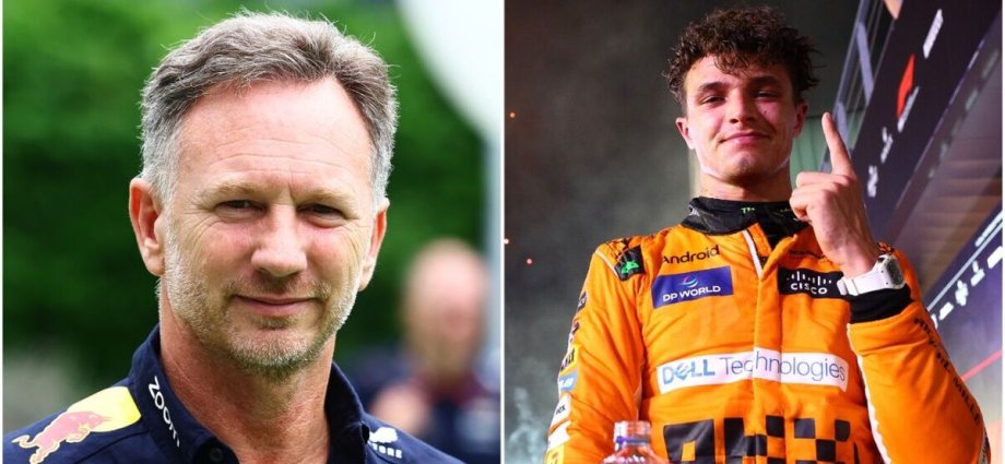 Toto Wolff sides with Christian Horner after ‘heartbreaking’ Norris meeting