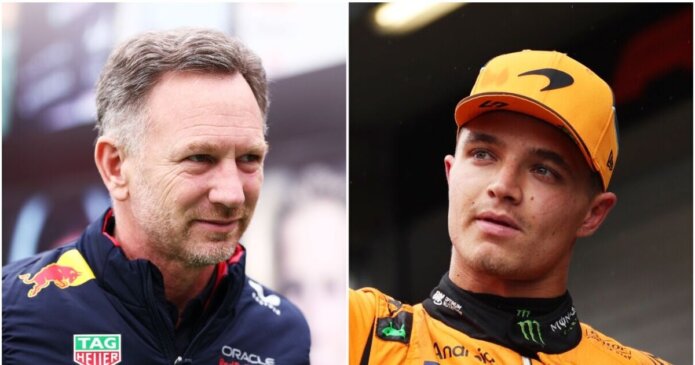 Christian Horner burns Sky Sports pundit as FIA punish Lando Norris and Mercedes