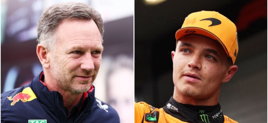 Christian Horner burns Sky Sports pundit as FIA punish Lando Norris and Mercedes