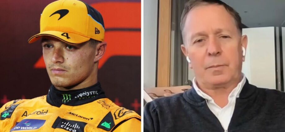 Martin Brundle savages Lando Norris with four-word comment in Max Verstappen row