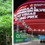 F1 drivers complain of marijuana smell at Las Vegas GP as stars fear drug tests