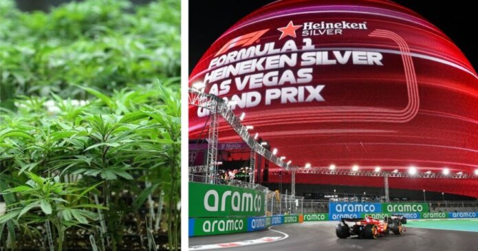 F1 drivers complain of marijuana smell at Las Vegas GP as stars fear drug tests
