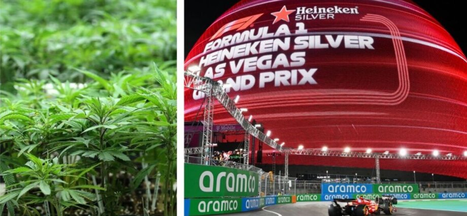 F1 drivers complain of marijuana smell at Las Vegas GP as stars fear drug tests