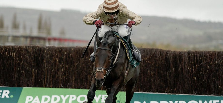 Broadway Boy could retire after Grand National fall as trainer's ally lifts lid