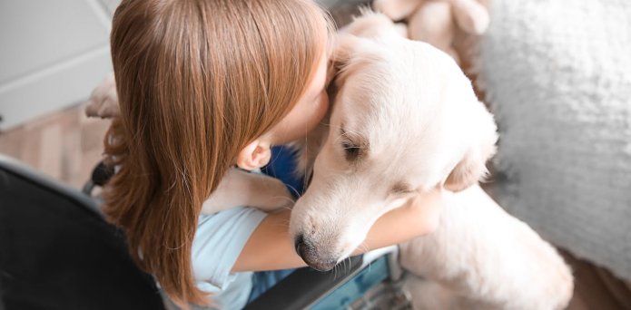 How mobility assistance dogs can improve quality of life in children with cerebral palsy