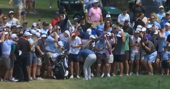 Rory McIlroy almost hit by golf ball as Truist Championship fans dive for cover