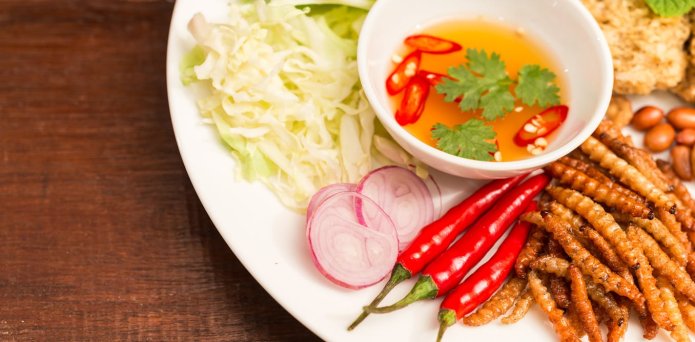 Insect protein could support healthy ageing and fight climate change