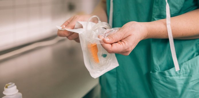 We found a germ that ‘feeds’ on hospital plastic – new study
