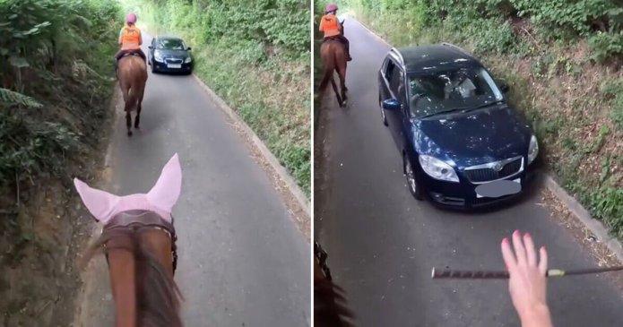 Rider of horse at centre of viral video breaks silence - 'I'm not aggressive'