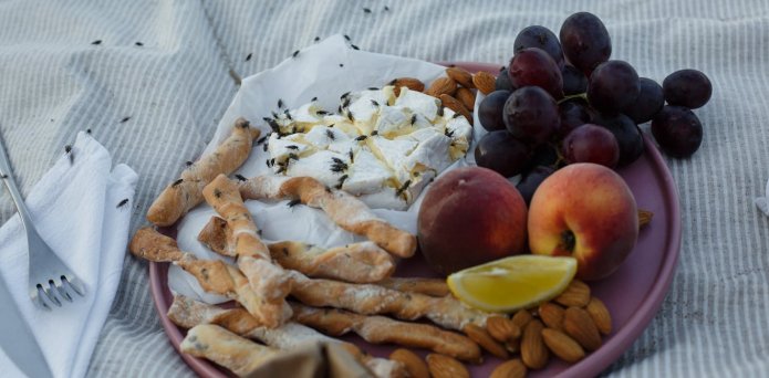 Don’t let food poisoning crash your picnic – six tips to keep your spread safe