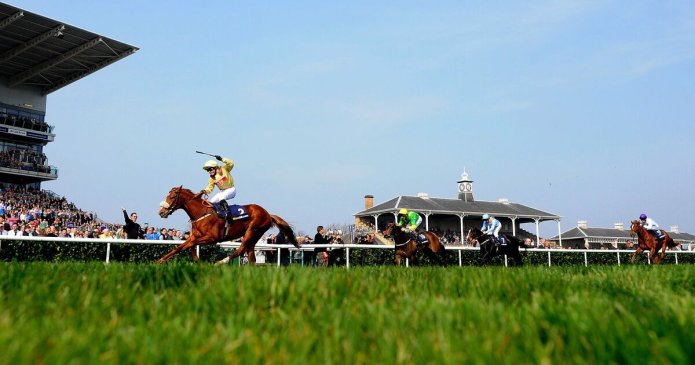 Legendary horse trainer that was 'everyone's dad' dies in 'freak accident'