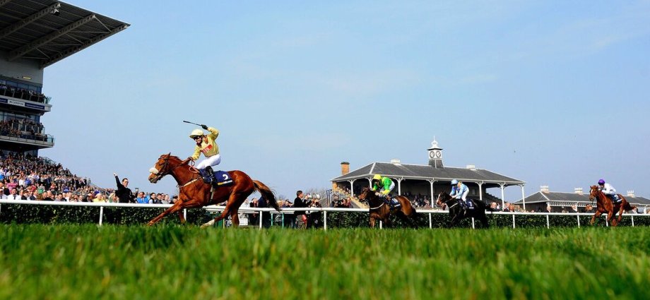 Legendary horse trainer that was 'everyone's dad' dies in 'freak accident'