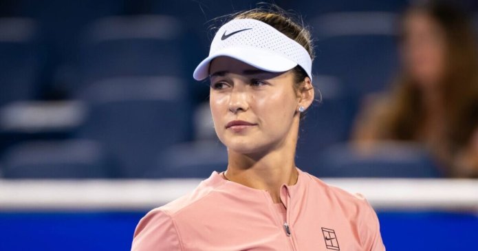 Cincinnati Open star accuses WTA of being 'biased' after losing temper with fan