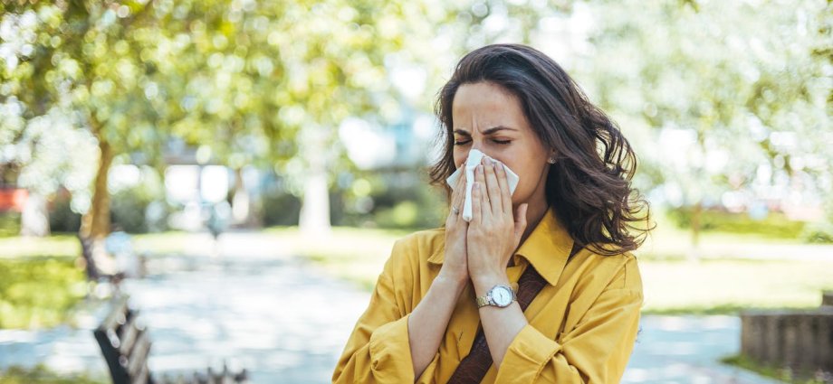 Hay fever: new immunotherapy approved in England for people with severe birch pollen allergies
