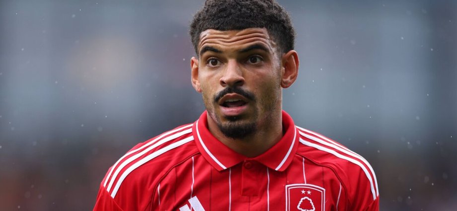 England footballer 'faces court over XL Bully' nearly two years after ban