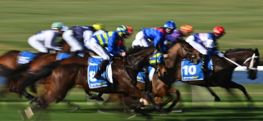 Man arrested on suspicion of fixing horse races as police carry out dawn raid