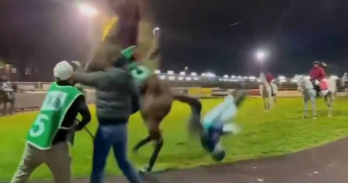 Jockey headbutted by horse in terrifying incident as health update released