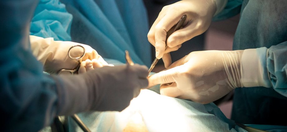 Don’t cut them out: lymph nodes may be key to cancer treatment