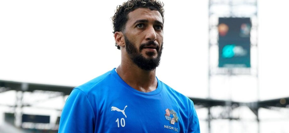 Ex-Prem footballer punished for 'out of control' XL Bully's attack