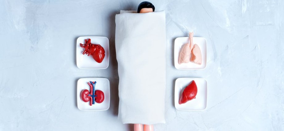 From monkey glands to ‘young blood’: the long, strange history of chasing immortality through transplants