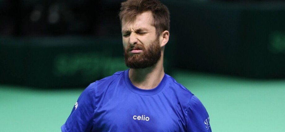 Tennis star issues grovelling apology after 'stupid' mistake at Davis Cup Finals