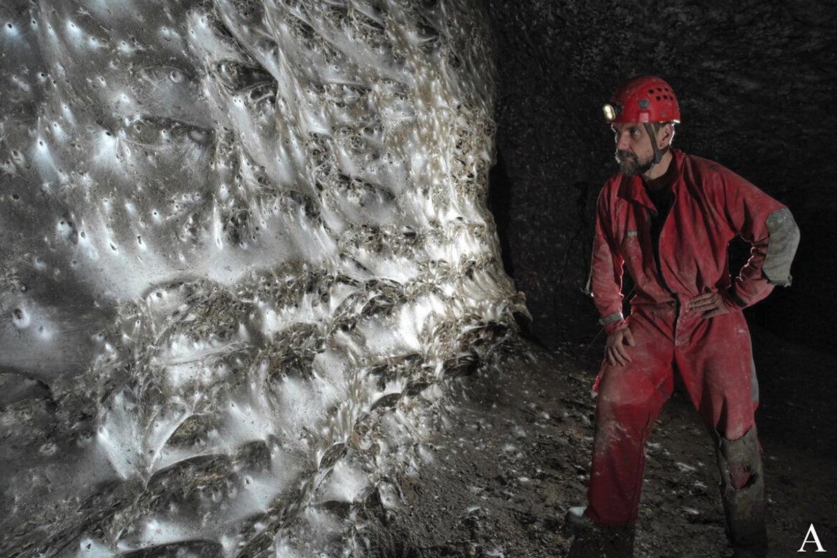This ‘spider megacity’ may be the largest web ever found. But what’s ...
