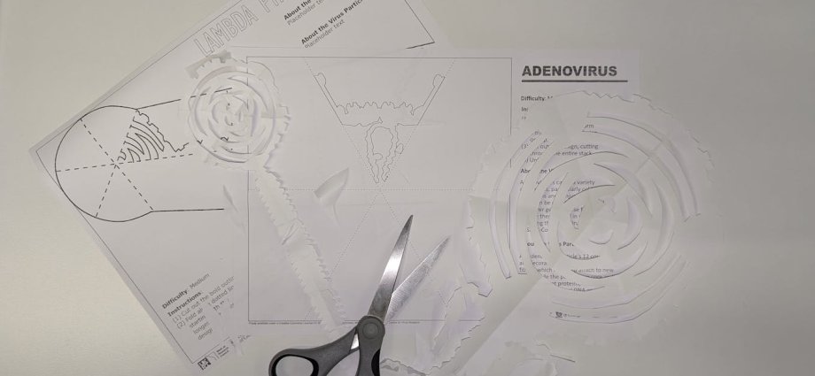 The twelve viruses of Christmas, and how to make your own – out of paper